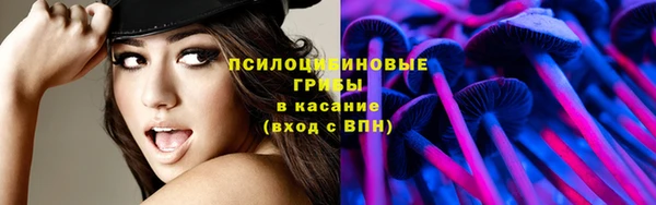 apvp Ростов