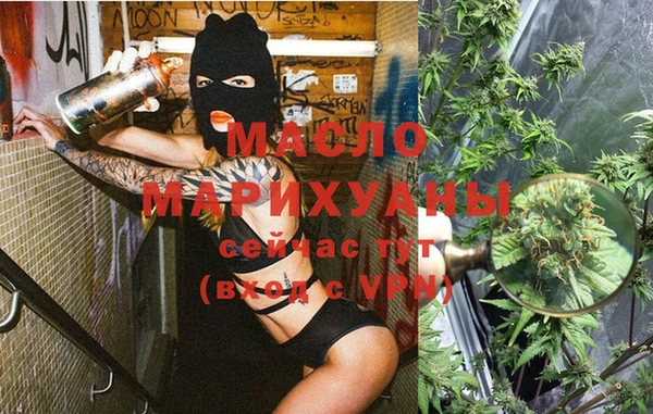 тгк Володарск